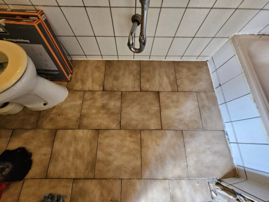 photo 27 2025 11 19 00 12 18